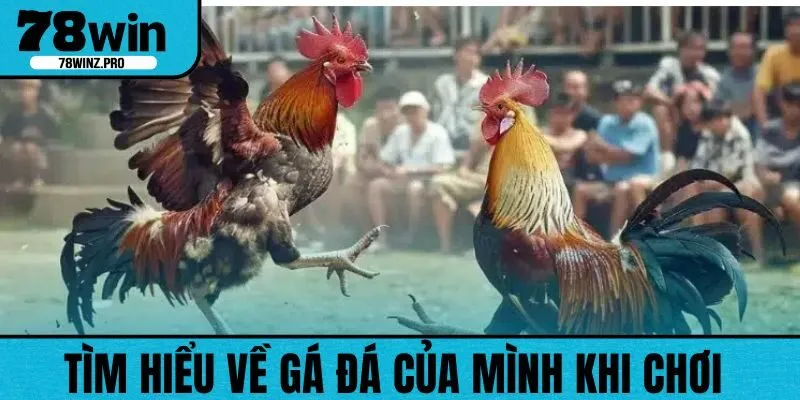 Để có cuộc cược hoàn hảo, bạn cần theo dõi tình hình gá chiến của mình