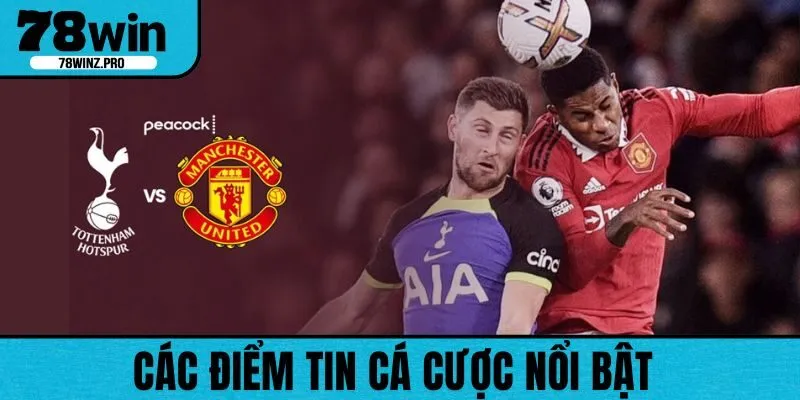 Nhiều thông tin về cá cược nổi bật 